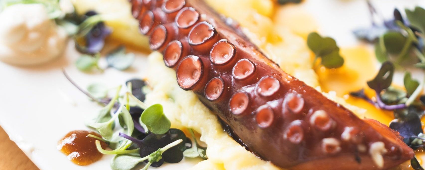 Pulpo a la brasa gourmet